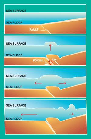 Sea Surface - Sea Floor